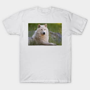 Arctic Wolf T-Shirt